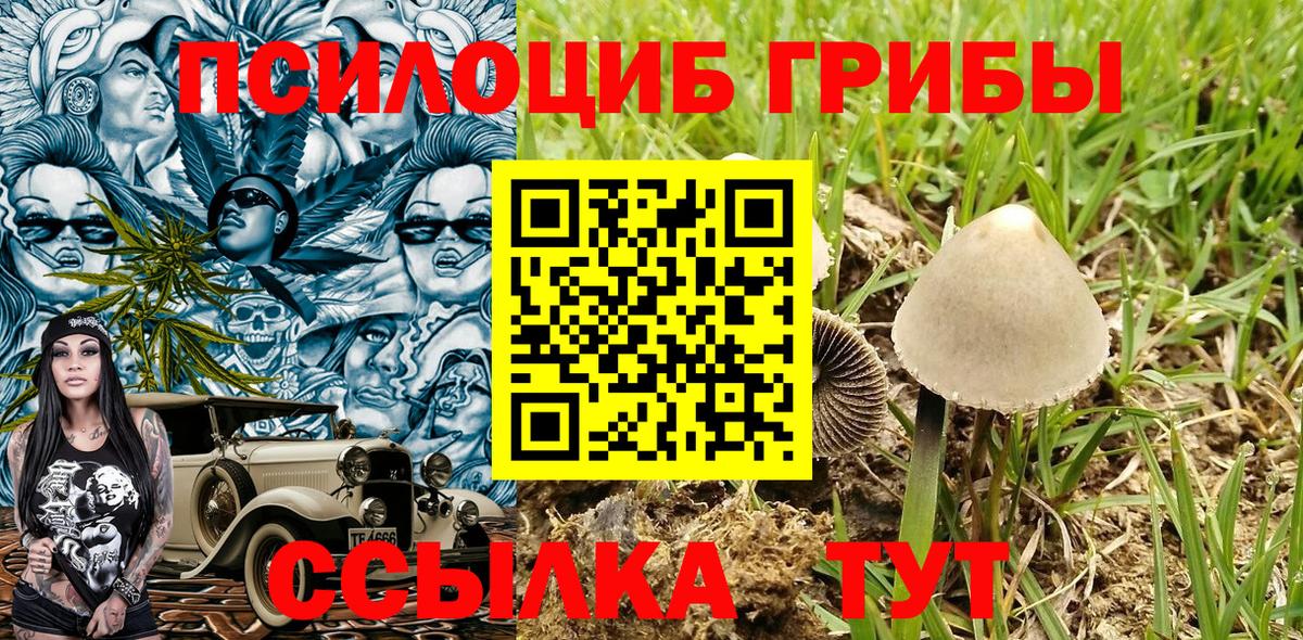 Иркутск  Галлюциногенные грибы MAGIC MUSHROOMS  Псилоцибиновые грибы Psilocybe  Вход с VPN 